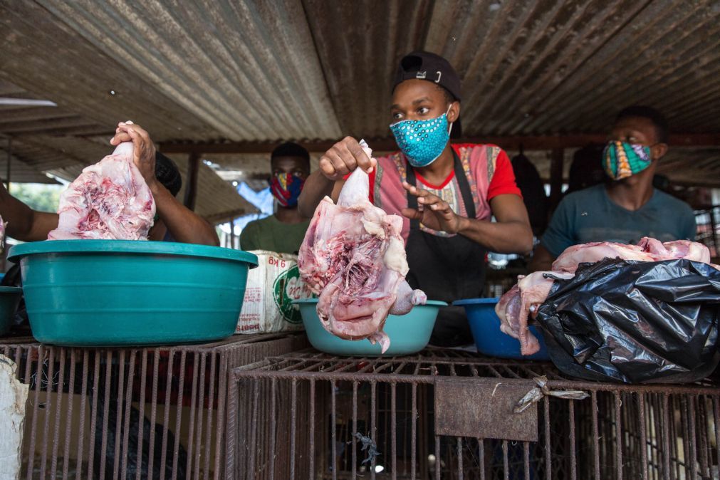 Apreendidos 300 quilogramas de carne imprópria em poucos dias em mercados de Maputo