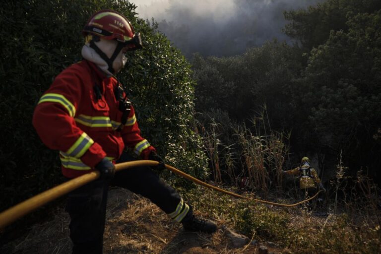 Escola de bombeiros alerta para a necessidade de preparação para uma catástrofe