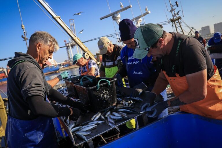 Pescadores têm fundo de compensação e Governo estuda novo apoio para aquacultura
