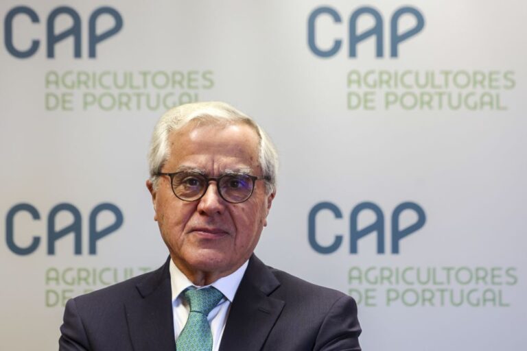 Agricultores pedem aos governantes que se entendam após 16 reprogramações do PDR