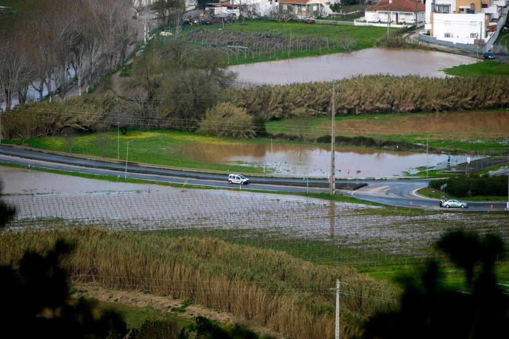 Ministro da Agricultura anuncia 40 ME de apoios devido ao mau tempo