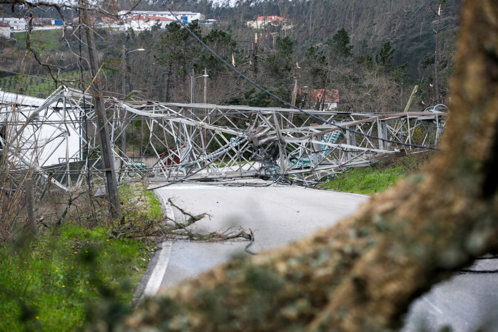Ministra defende enterramento de linhas para tornar rede elétrica mais resiliente