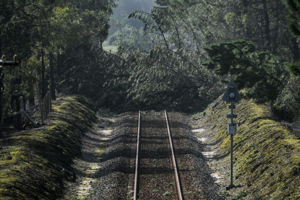 Circulação ferroviária cortada em troços das linhas do Minho, Norte, Douro e Oeste