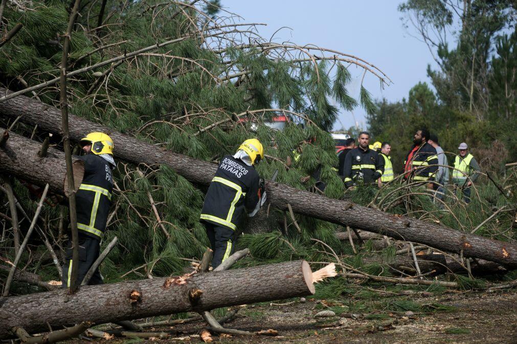 Câmara de Alvaiázere pede desesperadamente mais bombeiros