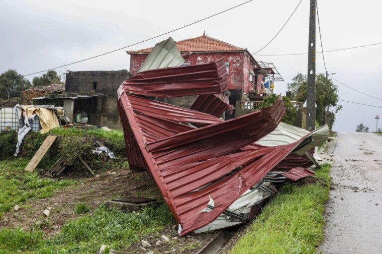 Mau tempo: Câmara de Pedrógão Grande estima que 80% das casas foram afetadas