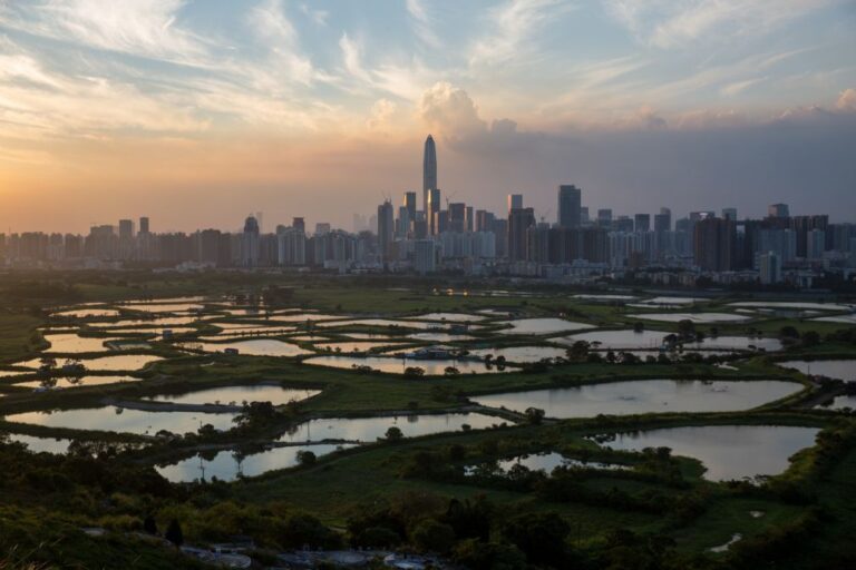 Hong Kong regista temperatura mais alta de sempre na véspera do Ano Novo Lunar