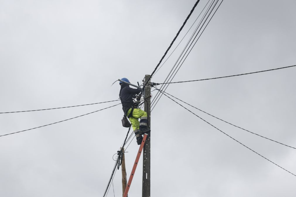 Mau tempo: E-Redes contabiliza 76 mil clientes sem energia elétrica às 08:00