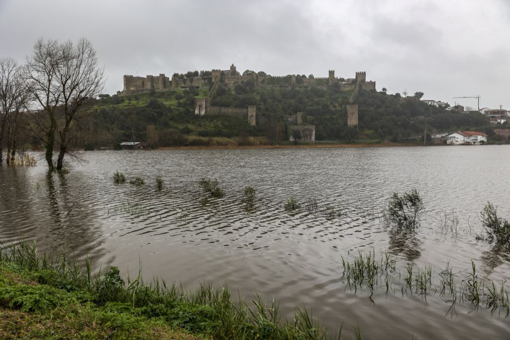 Montemor-o-Velho cancelou Festival do Arroz e da Lampreia