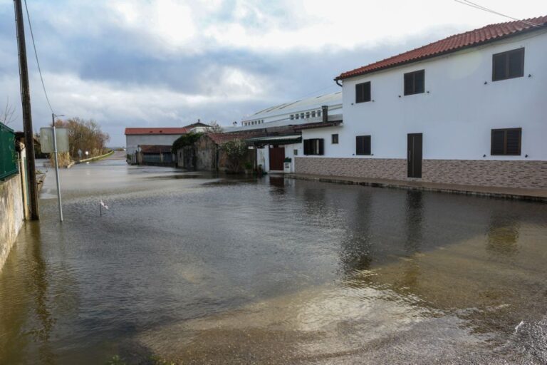 Mau tempo: Autarca de Montemor-o-Velho acusa APA de não deixar funcionar bombagem