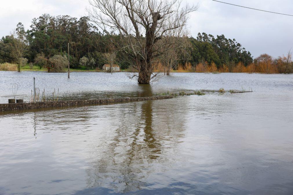 Margem direita do rio Mondego parte para canal de rega em Montemor-o-Velho