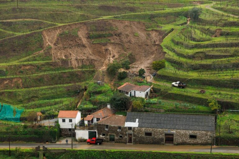 Mais de 300 ME de prejuízos reportados na agricultura devido ao mau tempo -- Governo