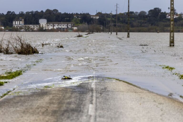 Tejo mantém alerta vermelho por subida de caudais com chuva a provocar aluimentos