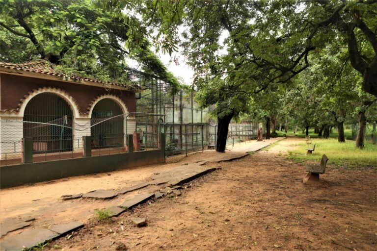 Zoo quase centenário de Maputo procura investidores para nova cara