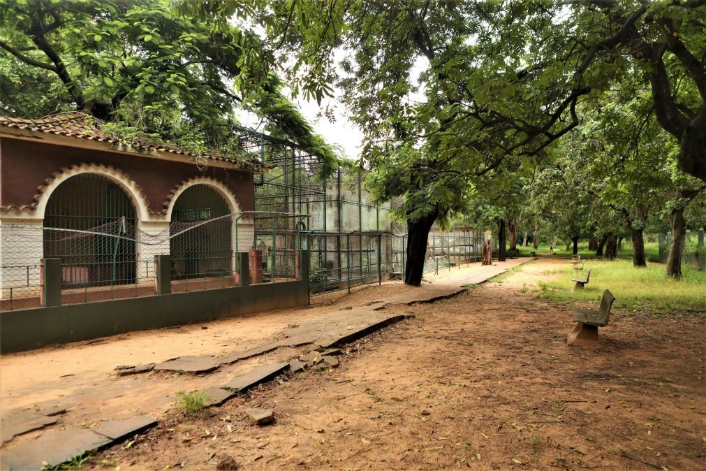 Zoo quase centenário de Maputo procura investidores para nova cara