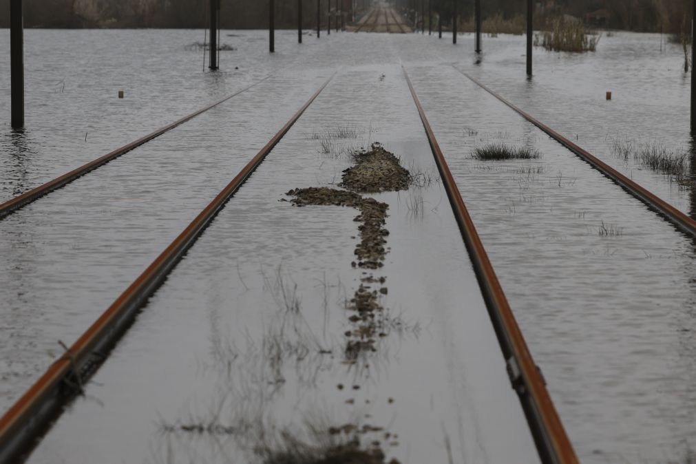Várias linhas ferroviárias ainda com constrangimentos na circulação