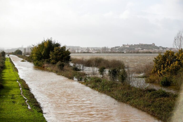 Agricultores de Coimbra exigem reparação do canal de rega do Mondego para garantir culturas