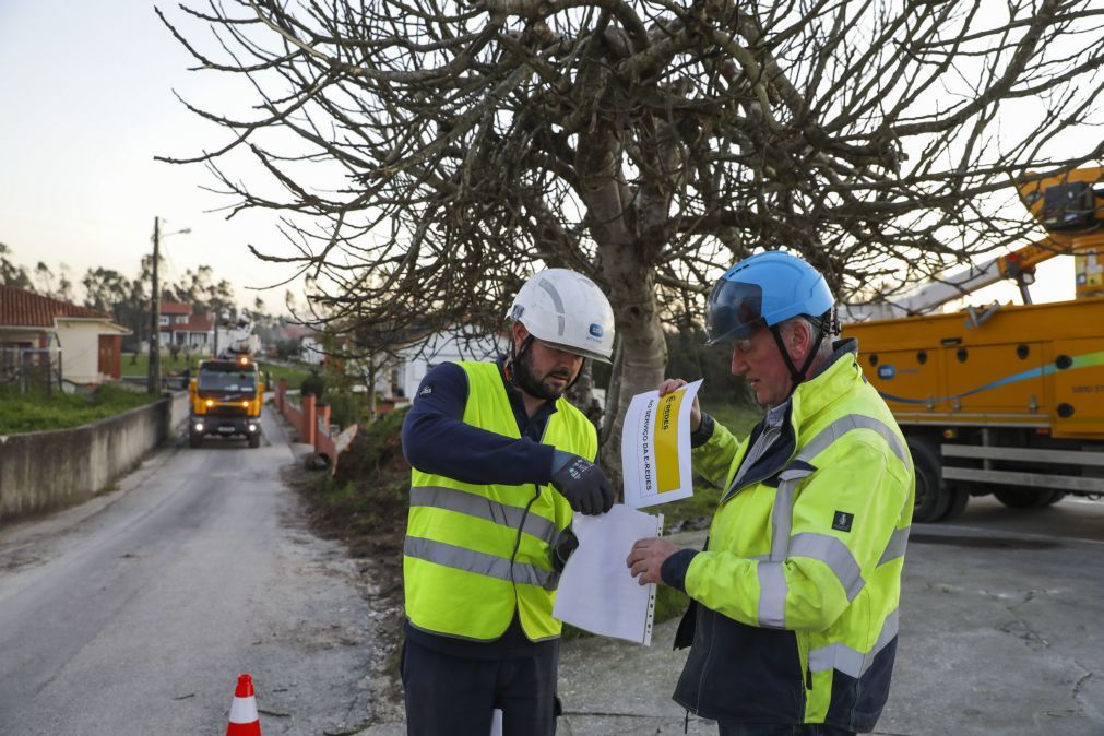 Irlandeses espantados com a devastação procuram devolver luz a aldeias de Leiria