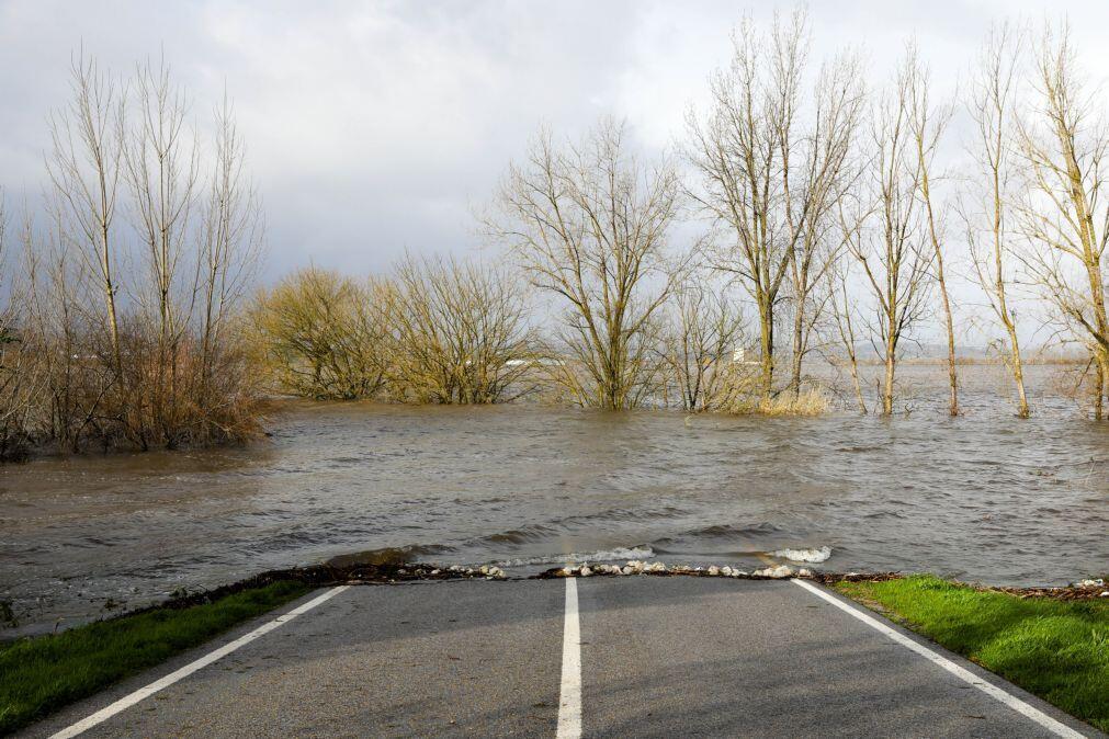 Tragédia em Montemor-o-Velho: O fim do mistério que manteve o país em suspenso