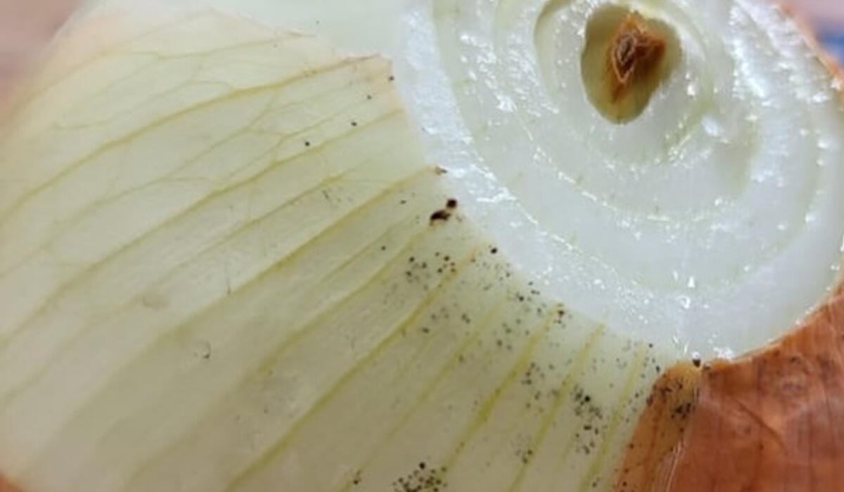 Pó preto na cebola: Sujidade ou perigo para a saúde? Saiba como agir