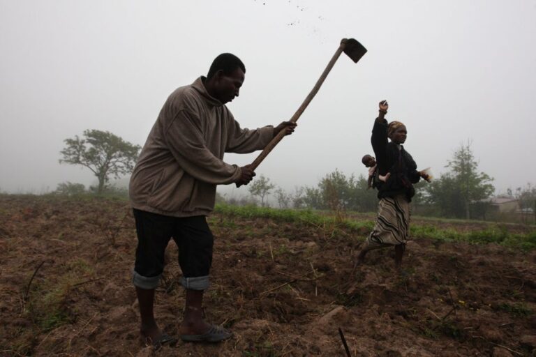 Governo angolano preocupado com efeito da escassez de chuva na produção agrícola