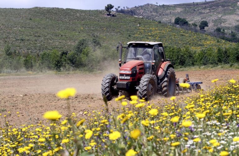 Cooperativas querem gasóleo agrícola com mesmo desconto que restantes combustíveis
