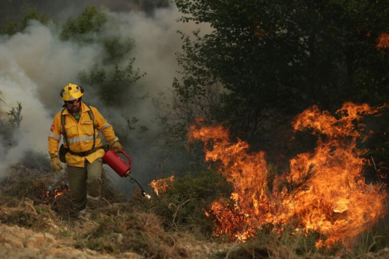 Governo vai pagar entre 300 e 360 euros por hectare queimado por fogo controlado