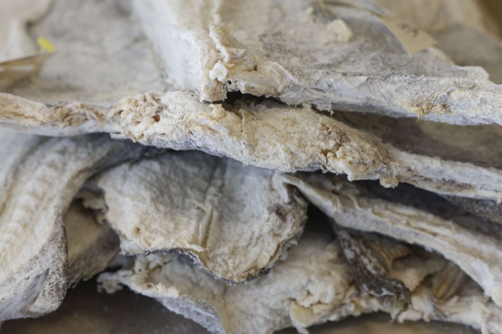 Exportações de bacalhau da Noruega para Portugal recuam para 35.000 toneladas em 2025 – NSC