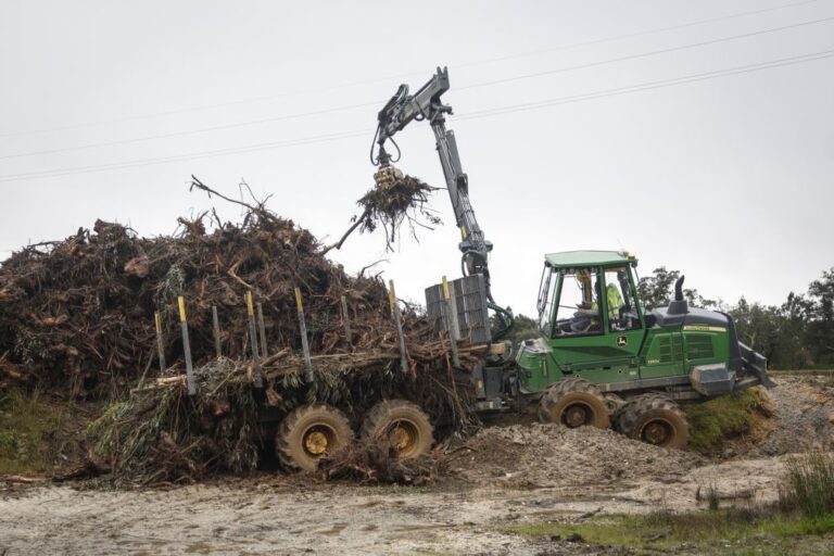 Pombal tem 2.400 km de caminhos florestais para limpar - Câmara