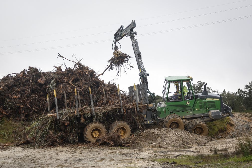 Pombal tem 2.400 km de caminhos florestais para limpar – Câmara