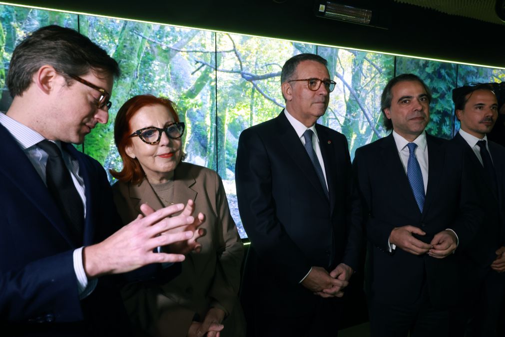 Ministra do Ambiente e Energia admite descida dos combustíveis na próxima semana