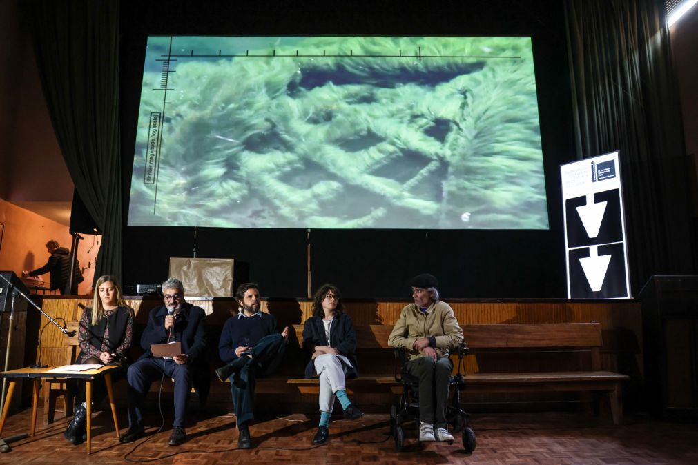 Pavilhão de Portugal na Bienal de Arte de Veneza vai replicar sismos em tempo real
