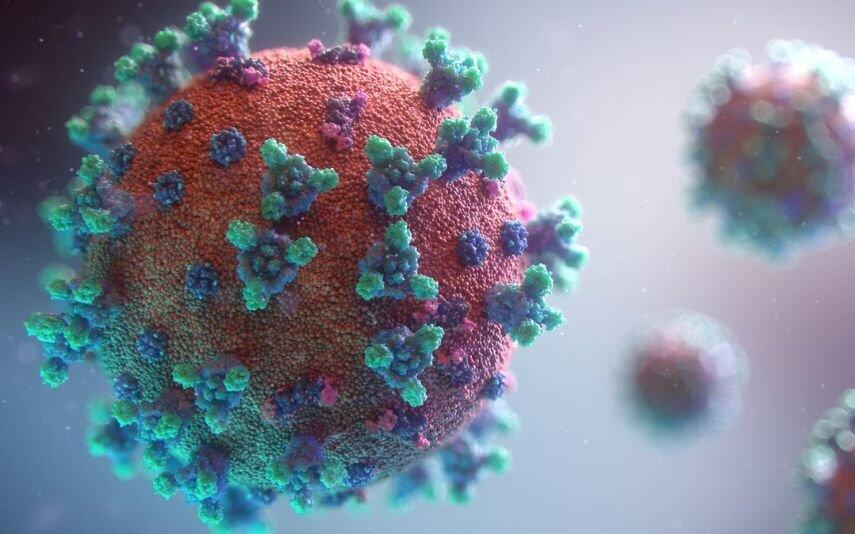 Chikungunya Novo vírus já está em Portugal e inspira preocupações: dores incapacitantes e febre