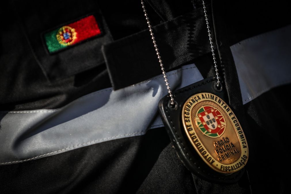 ASAE desmantela dois matadouros ilegais e apreende mais de duas toneladas de carne