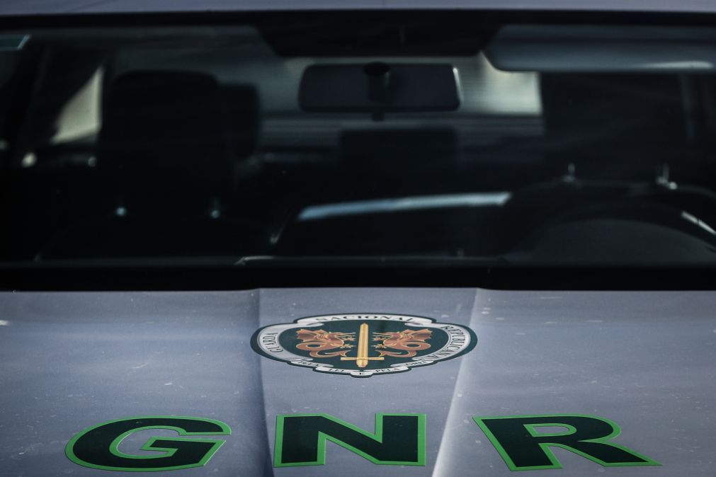 Mais de 9 toneladas de produtos agrícolas apreendidas e 47 detidos em operação da GNR