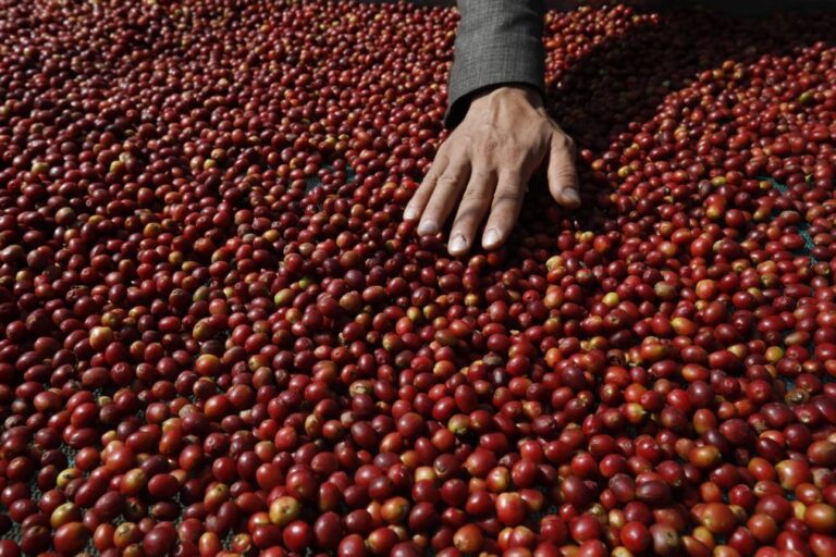 Preços do café sobem 2,3% em março após três meses em queda