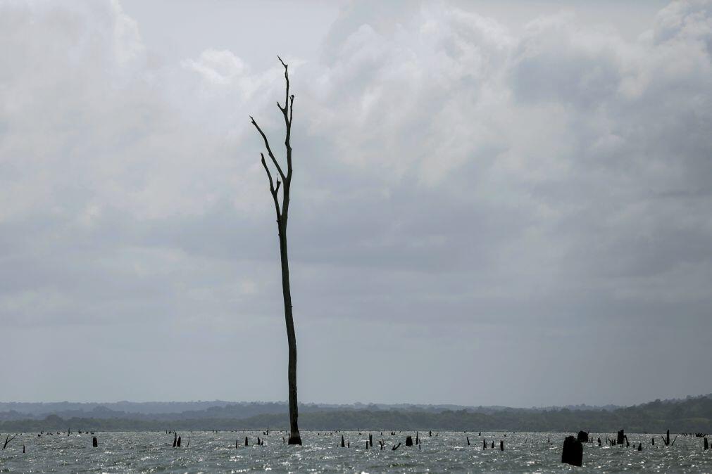 Aumenta probabilidade de El Niño — Organização Meteorológica Mundial
