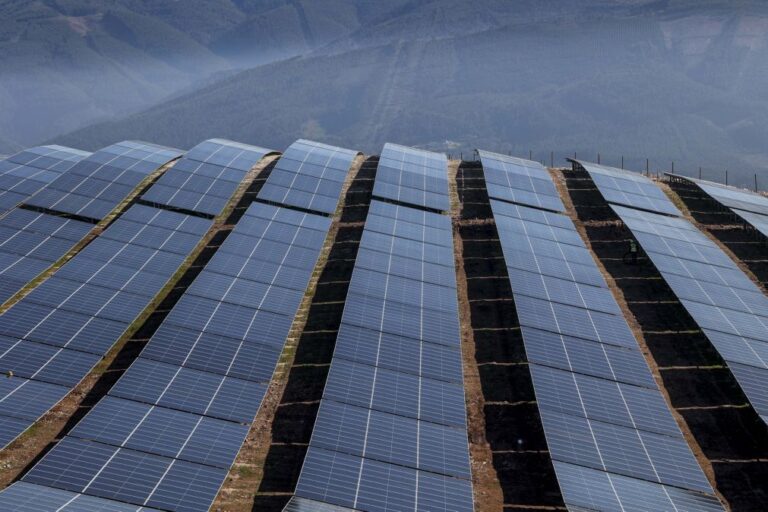 Ambientalistas exigem transparência sobre centrais solares na Beira Baixa