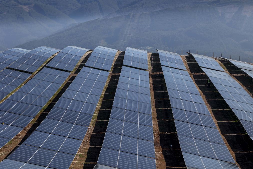 Ambientalistas exigem transparência sobre centrais solares na Beira Baixa