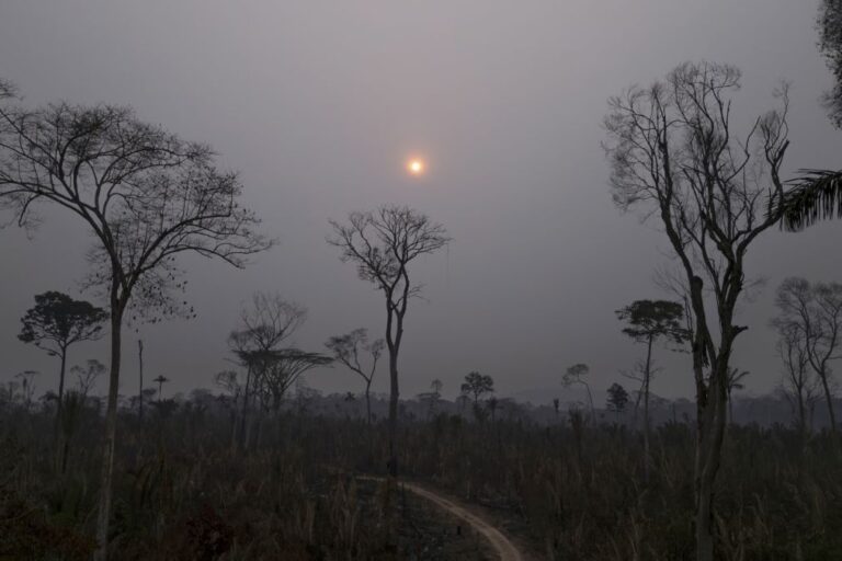 Incêndios na Amazónia brasileira em março cresceram 13,2%
