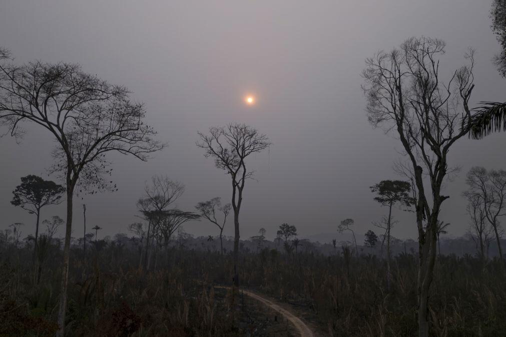 Incêndios na Amazónia brasileira em março cresceram 13,2%