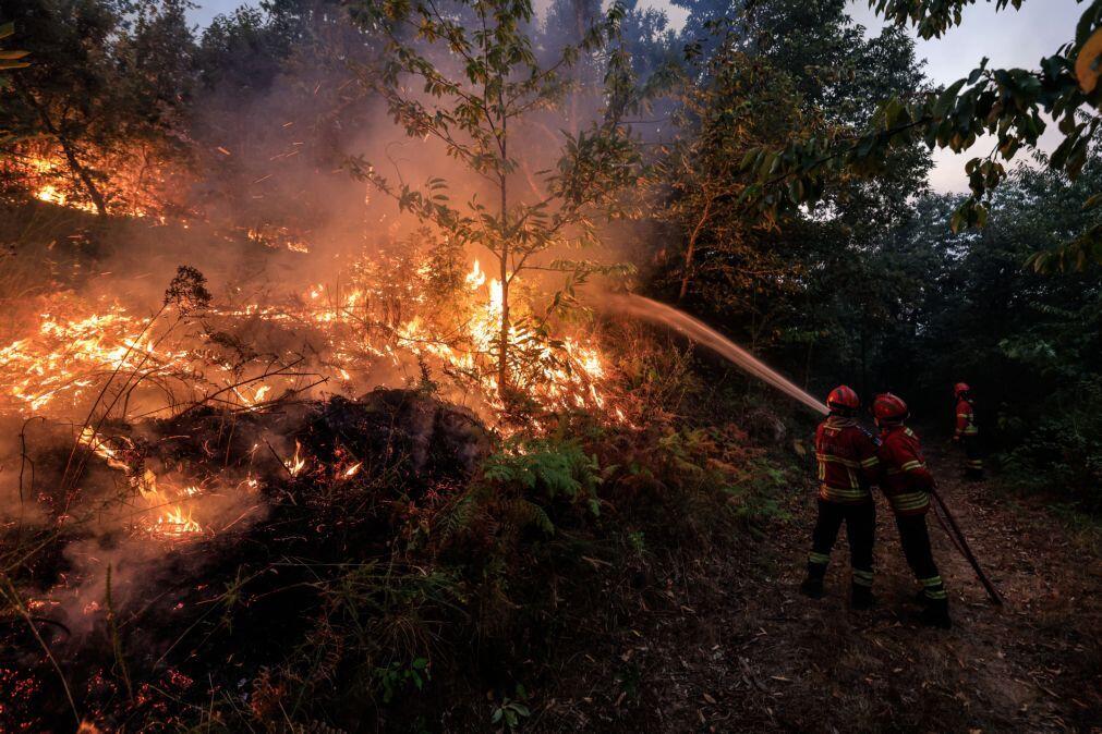 Mais de 100 operacionais combatem incêndio na Serra do Caramulo