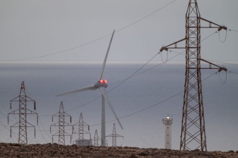 Consumo de eletricidade regista máximo de sempre num primeiro trimestre - REN
