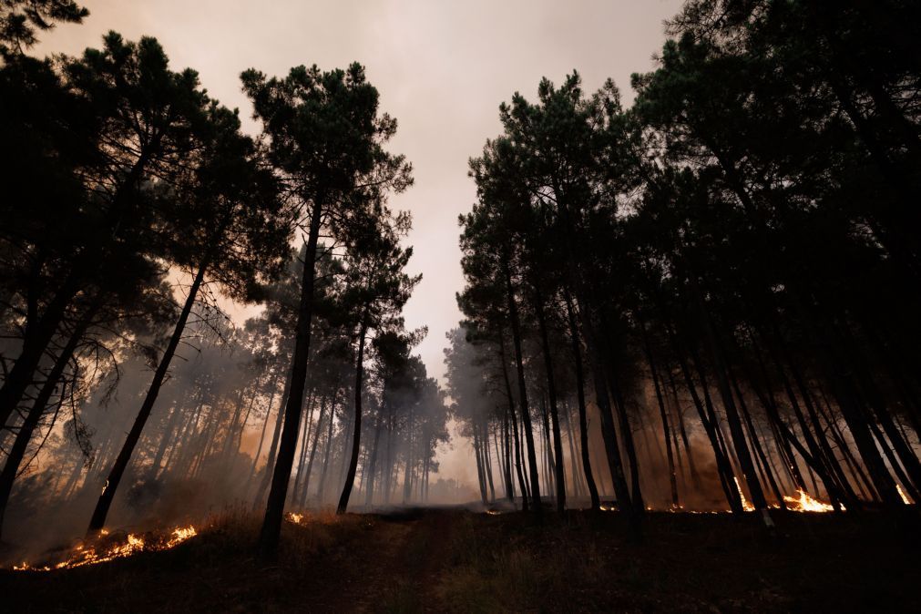 Incêndios: Comando Integrado de Prevenção e Operações vai ser apresentado hoje