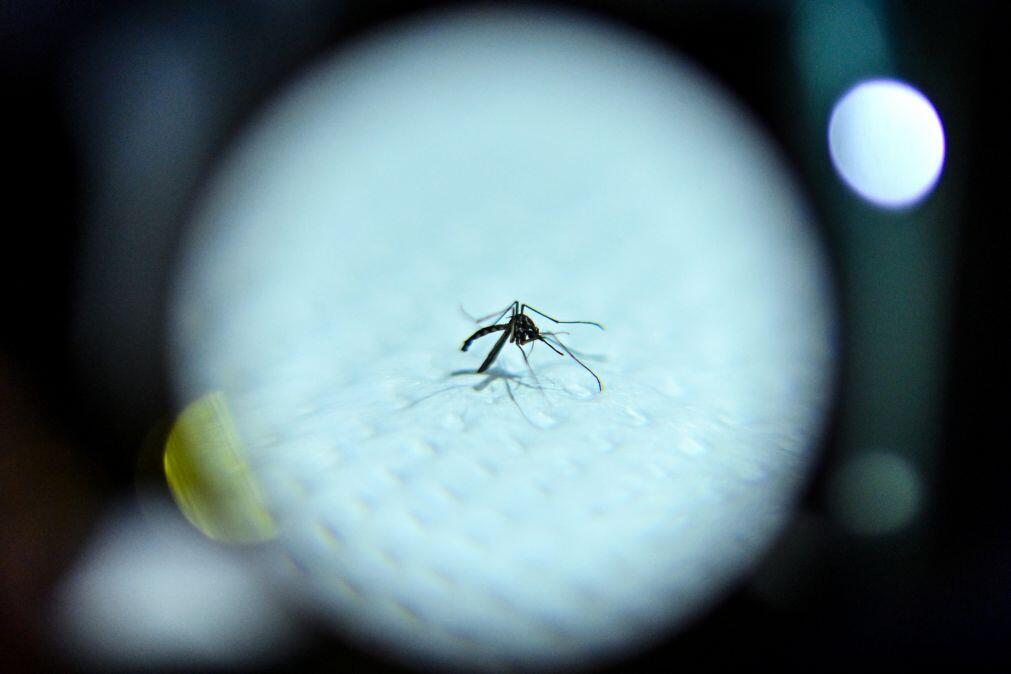 Cerca de 60 mortos por malária na província moçambicana de Niassa este ano