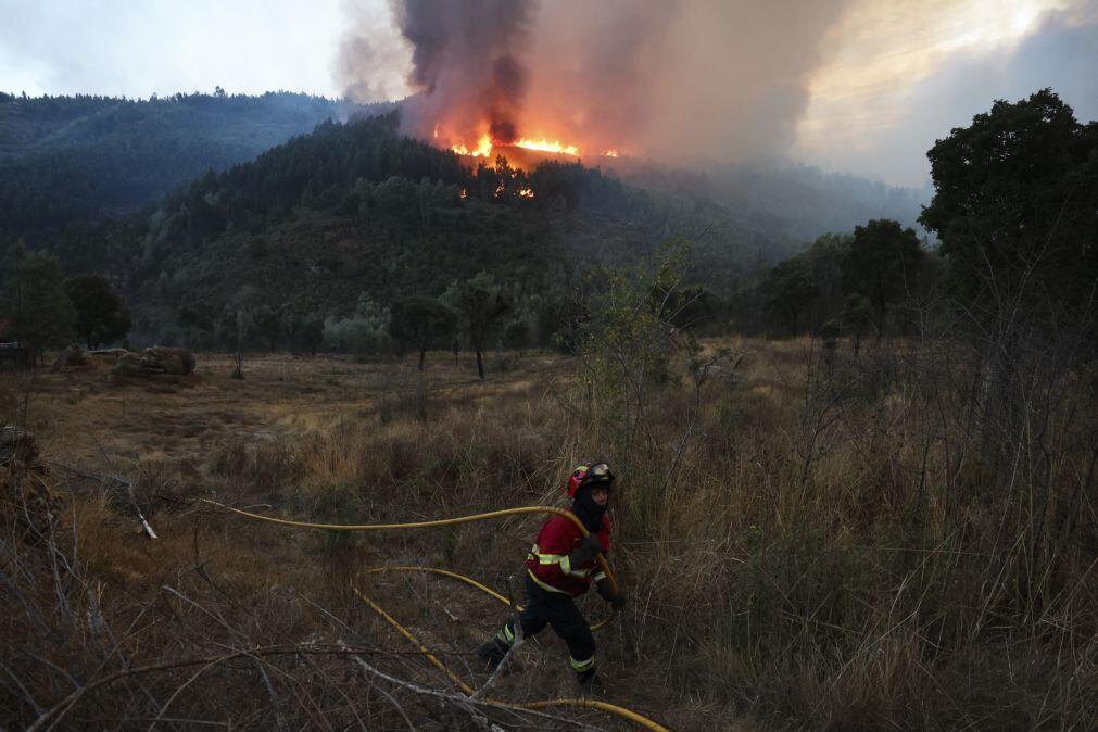 Satélites vigiam florestas da Região de Coimbra para evitar fogos