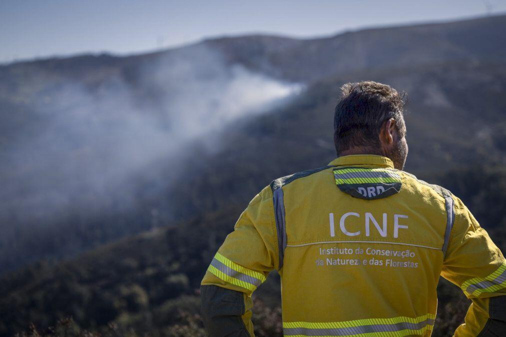 ICNF admite atrasos no pagamento de indemnizações por ataques de lobos a rebanhos