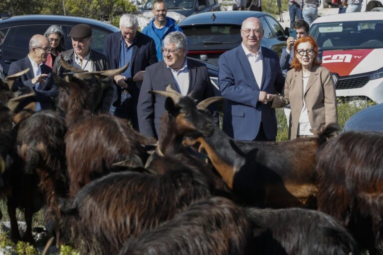 Governo investe 30 ME por ano para apoiar pastores e controlar risco de incêndios