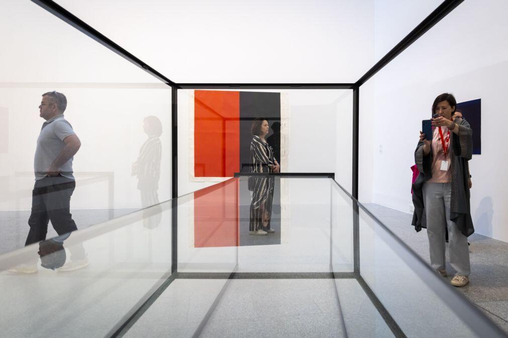 Exposição de José Pedro Croft no MAC/CCB abre porta para 25 anos de trabalho do artista