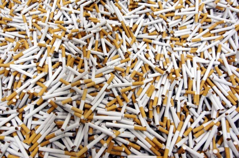 Consumo de tabaco causa perdas económicas anuais de 156 ME em Moçambique