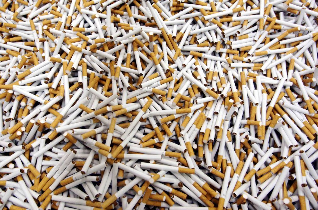Consumo de tabaco causa perdas económicas anuais de 156 ME em Moçambique